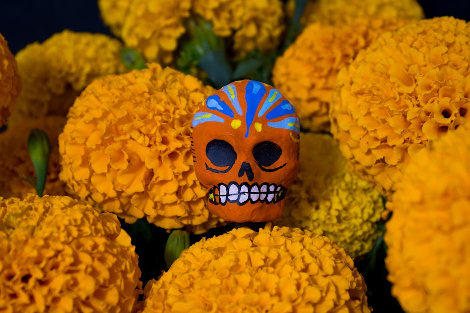 Vibrant traditions