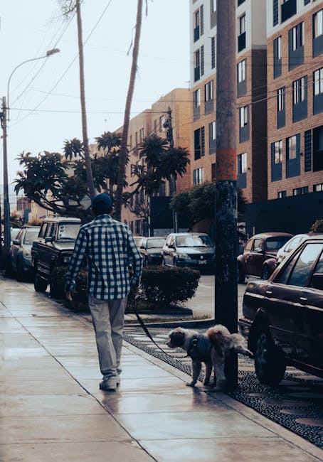 Leash training
