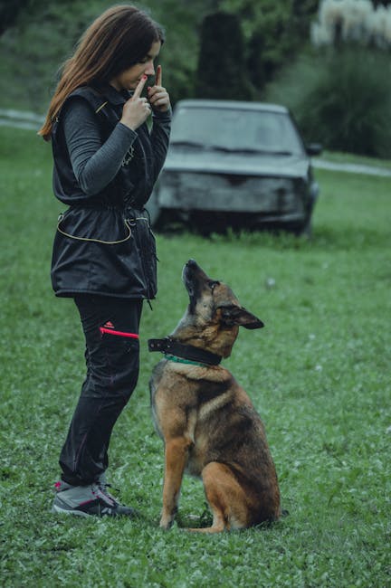 Sarah Thompson - Head Trainer