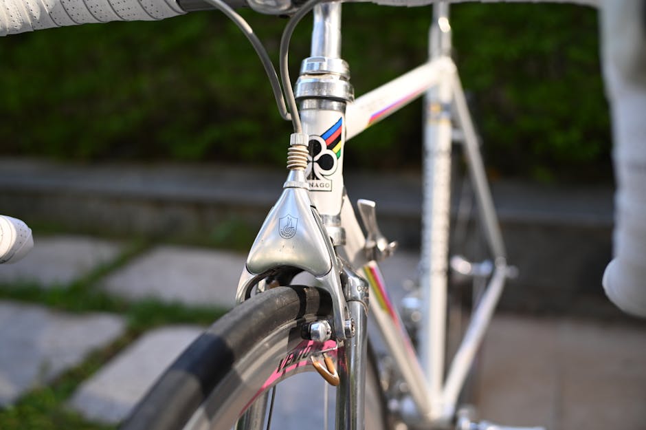 Classic racing bicycles lined up