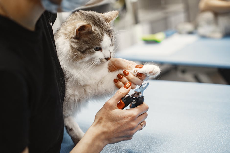 Nail Trimming