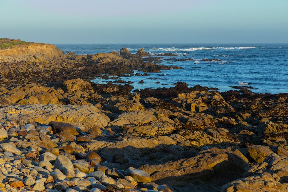 Monterey Coast