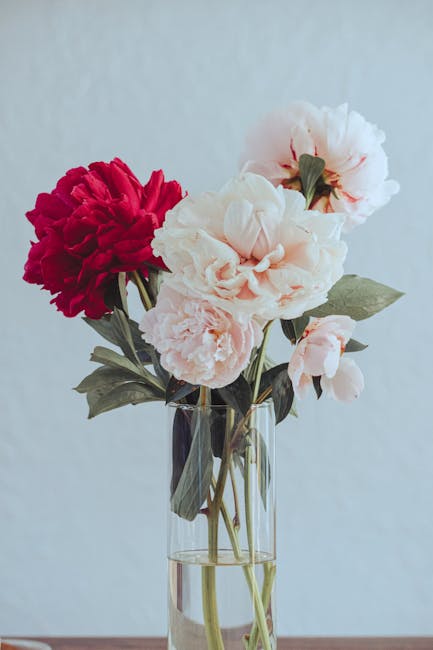 Beautiful flowers