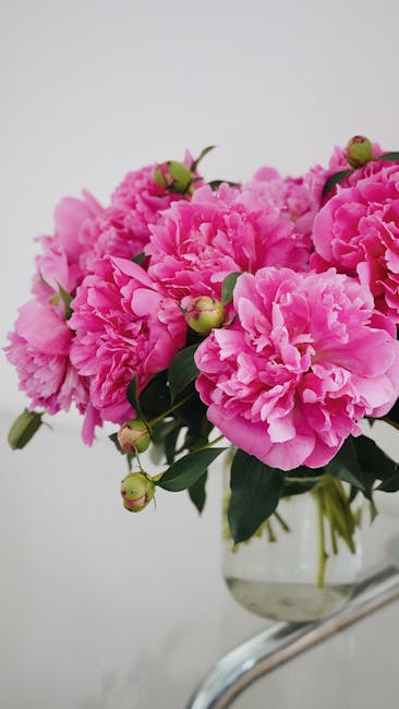 Pink Peonies