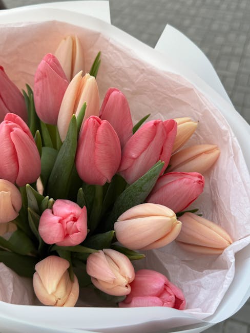 Pastel Tulips