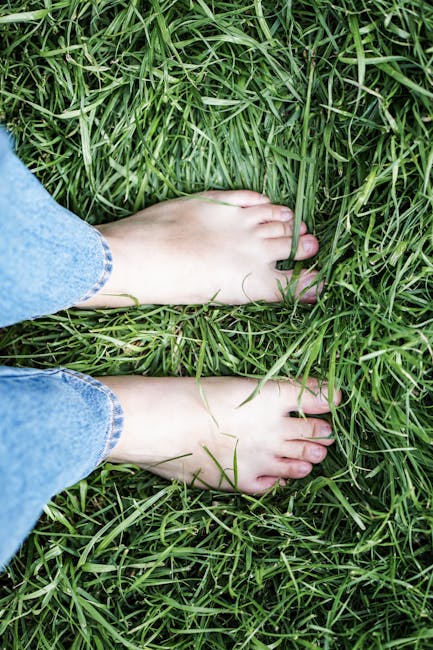 Grounding Guides