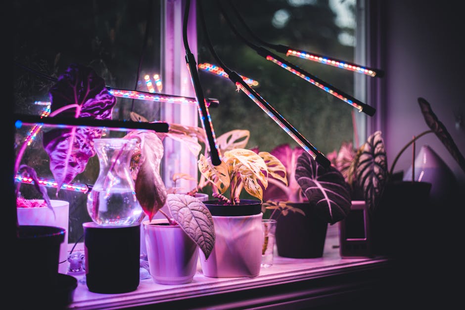 Barrina CX91 grow light in action