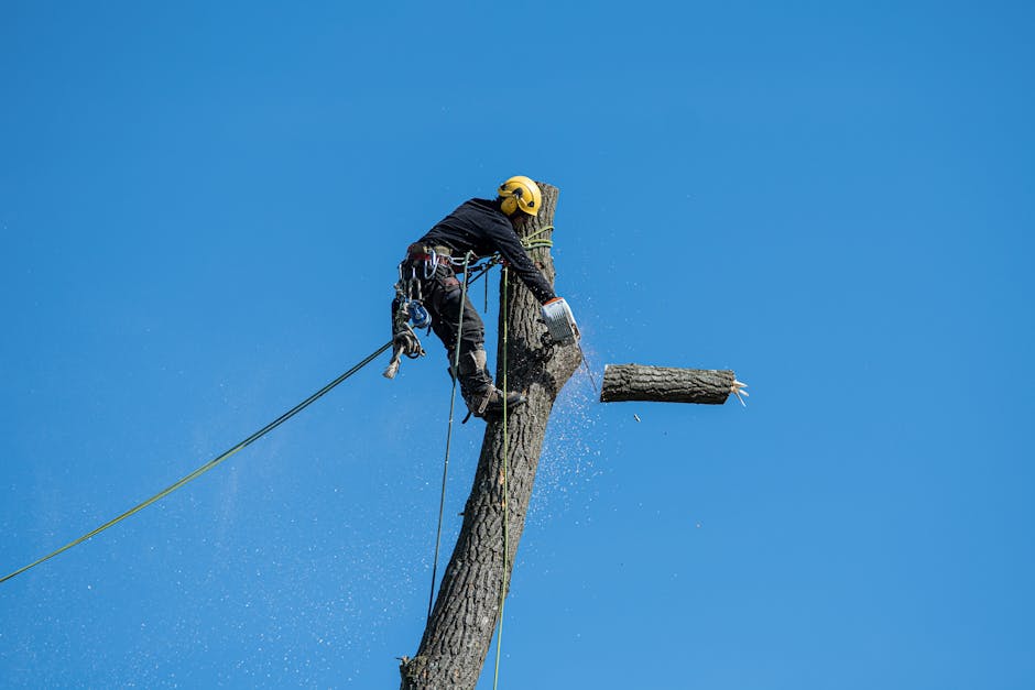 Tree & Limb Removal