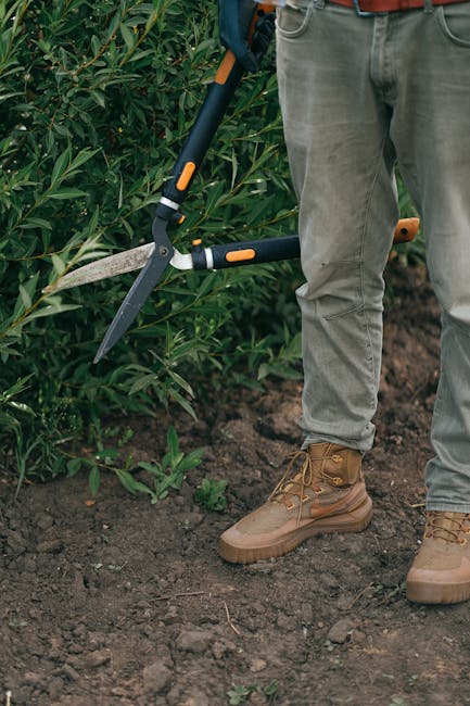 Hedge Pruning