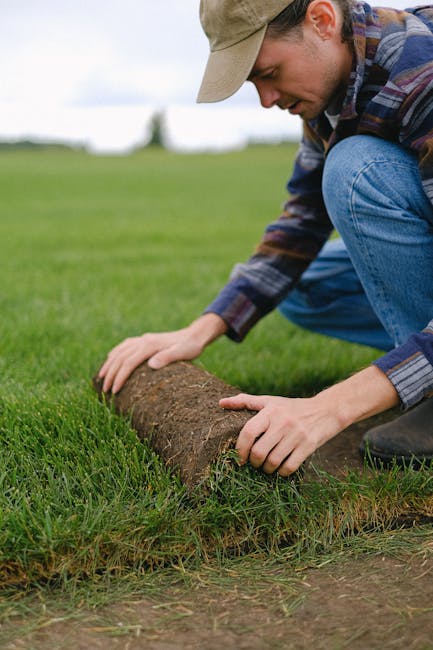 Sod Installation