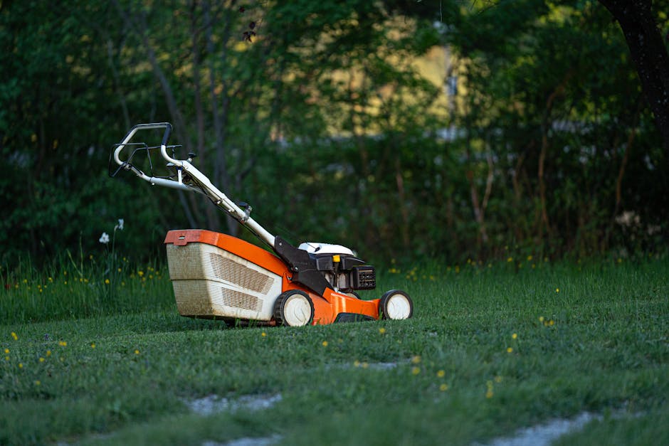 Lawn Maintenance at a coastal Wilmington residence