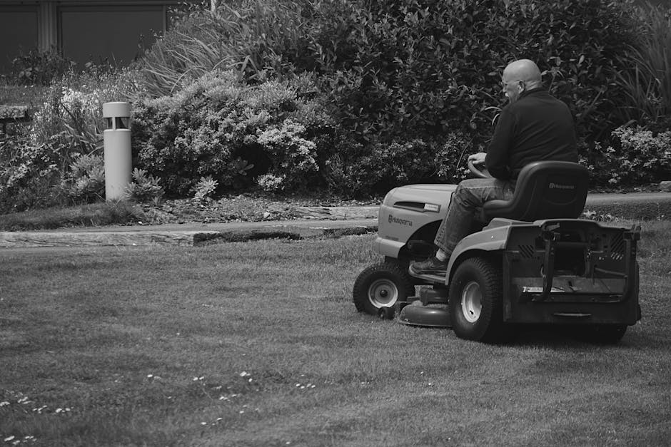 Lawn Maintenance