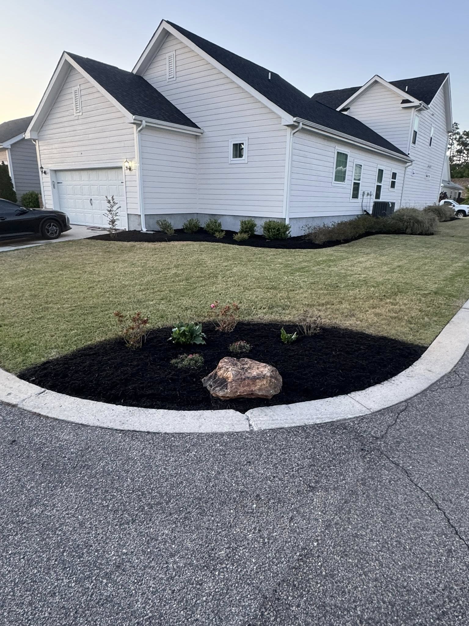 Lawn Restoration