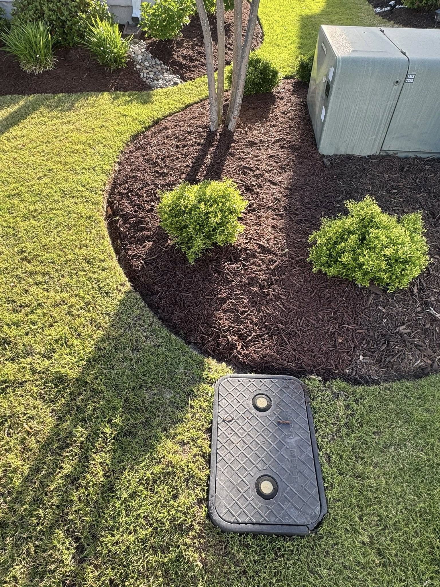 Front Yard Landscape